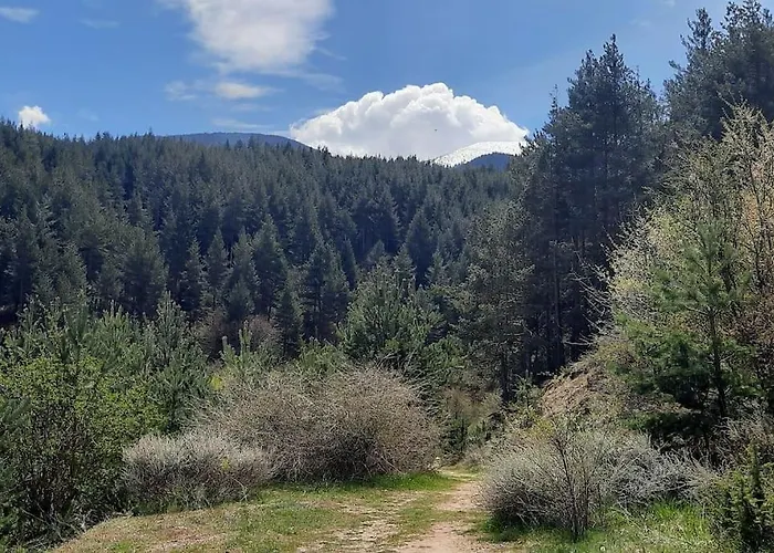 The Snug Near The Brimming Mountains Апартамент
