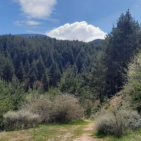 The Snug Near The Brimming Mountains Appartement